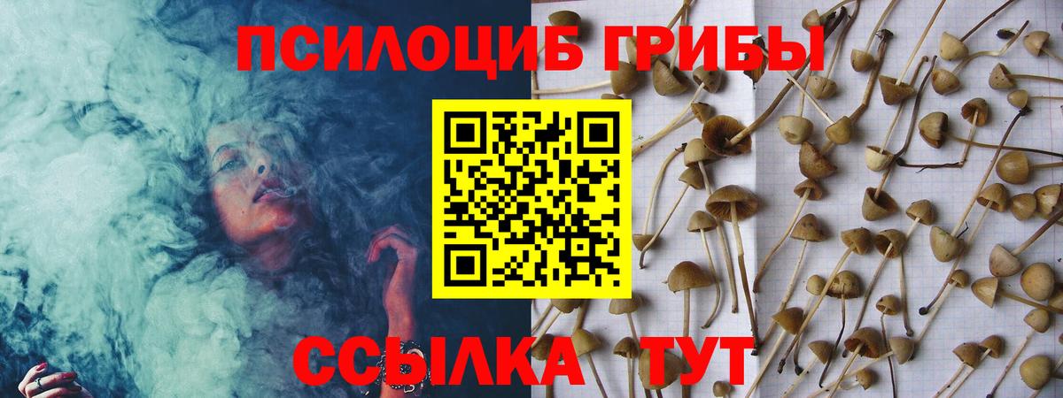 Павлово  Псилоцибиновые грибы Cubensis  Вход с VPN  Псилоцибиновые грибы GOLDEN TEACHER 